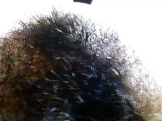シャワーの外にステップをクソ、その後すぐにその弱いでカブトムシを吸い始める 女の子 用 エロ 動画